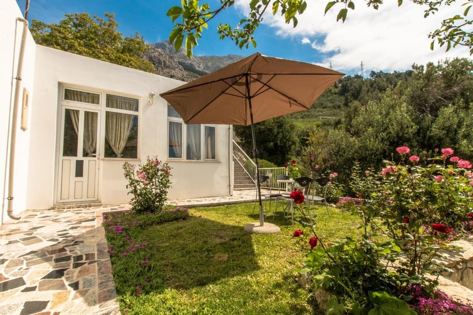 Property building, Patio, Facade/entrance, Garden