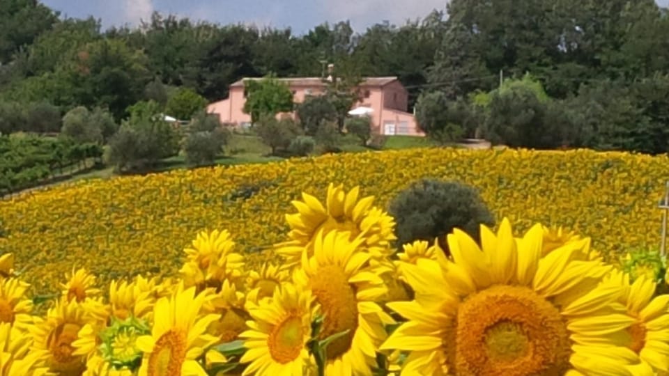 Day, Summer, View (from property/room)