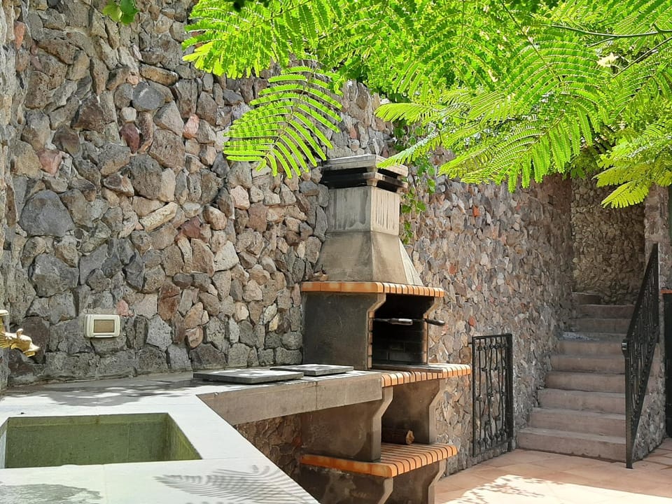 Peaceful house set on a vineyard & work friendly House in Gran Canaria