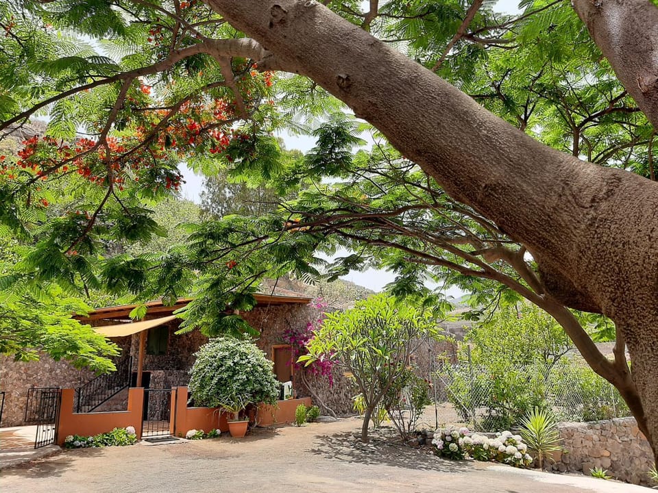 Respira by CanariApartment - Peaceful Nature Retreat House in Gran Canaria