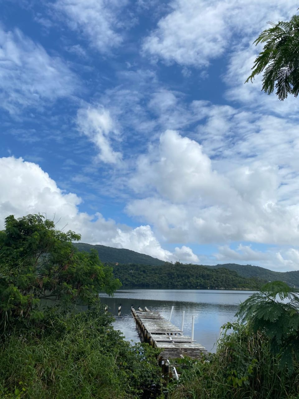 Lotus Guest House House in Florianopolis