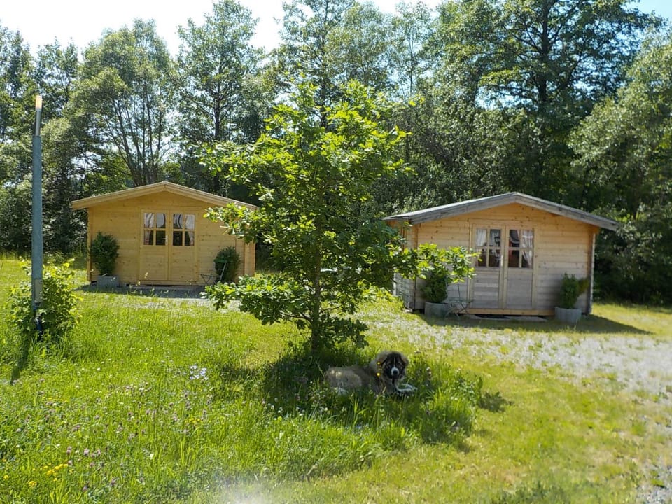 Property building, Facade/entrance, Garden, Street view