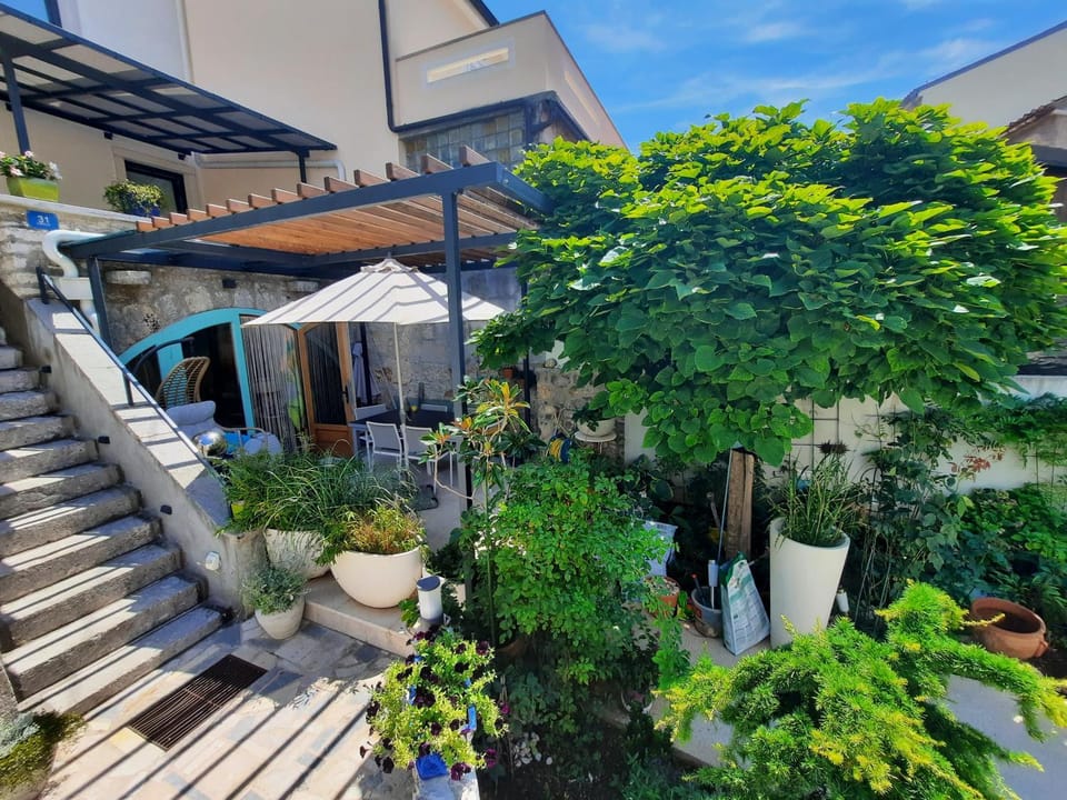 Property building, Patio, Garden