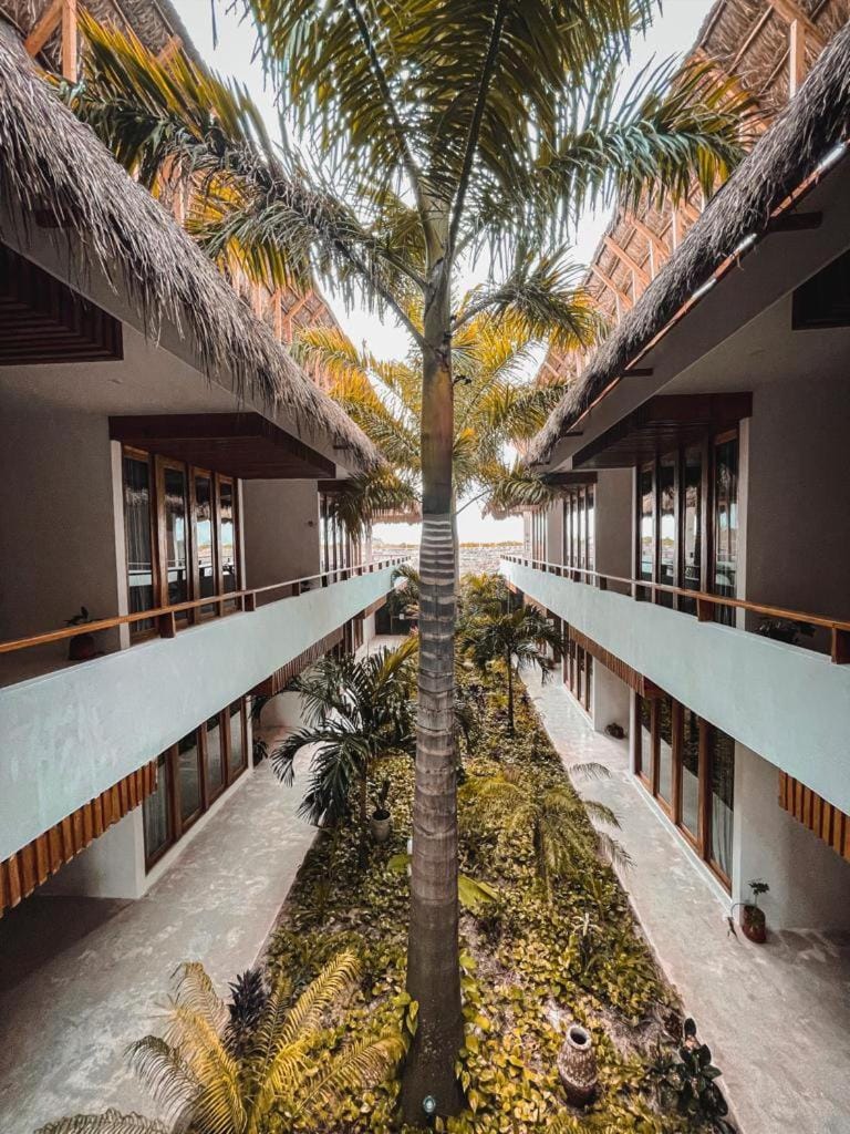 Garden, Garden view, Garden view