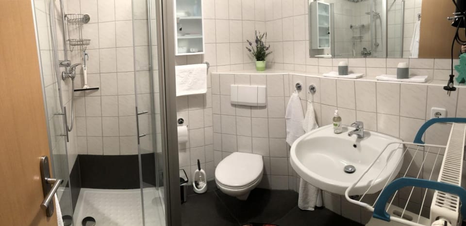 Am Tor zur Sächsischen Schweiz Apartment in Pirna