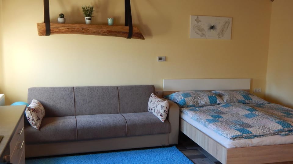 Boros Vendégház II. Apartment in Hungary