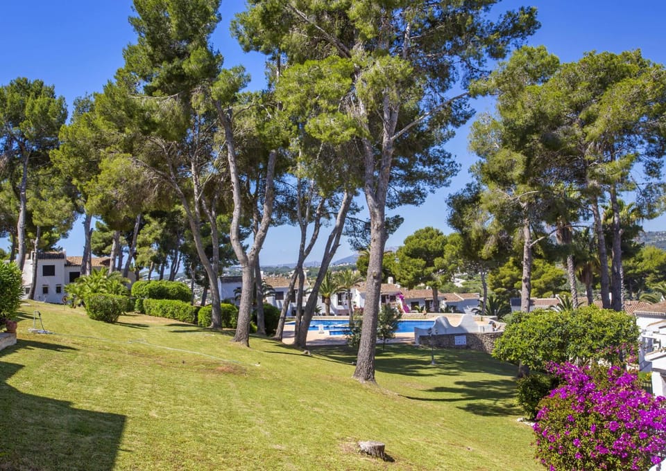 Garden, Swimming pool