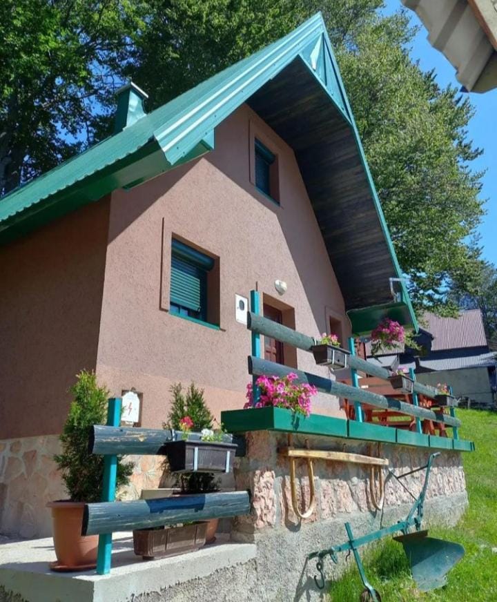 Vila Darija Villa in Montenegro