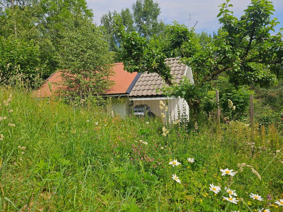 Property building, Summer