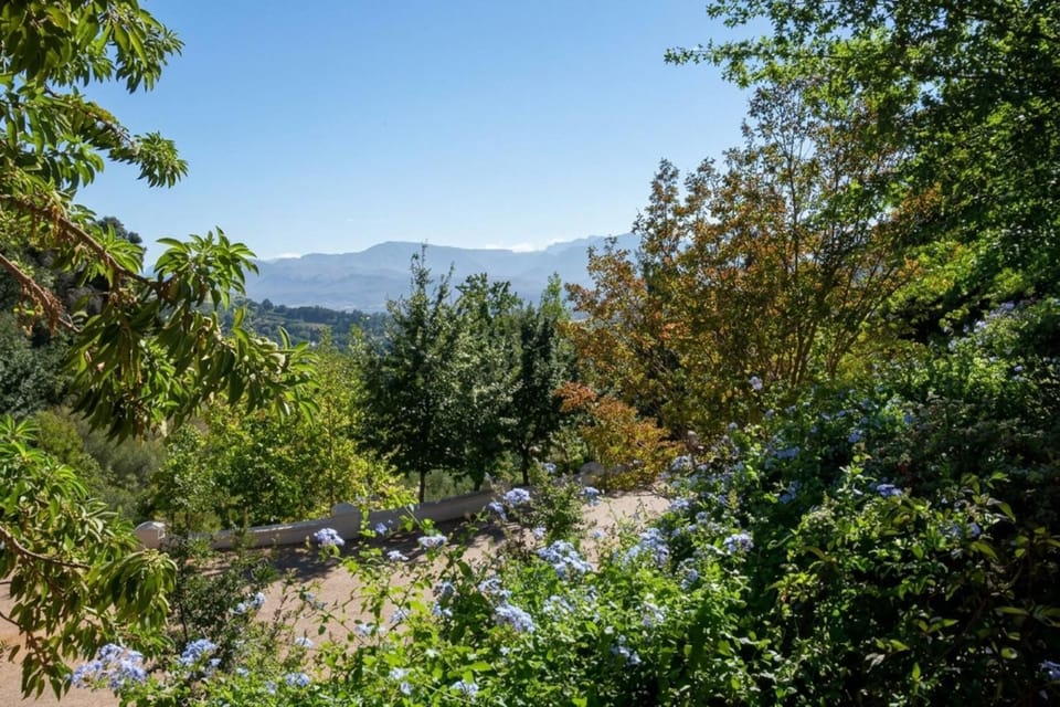 Mountain view