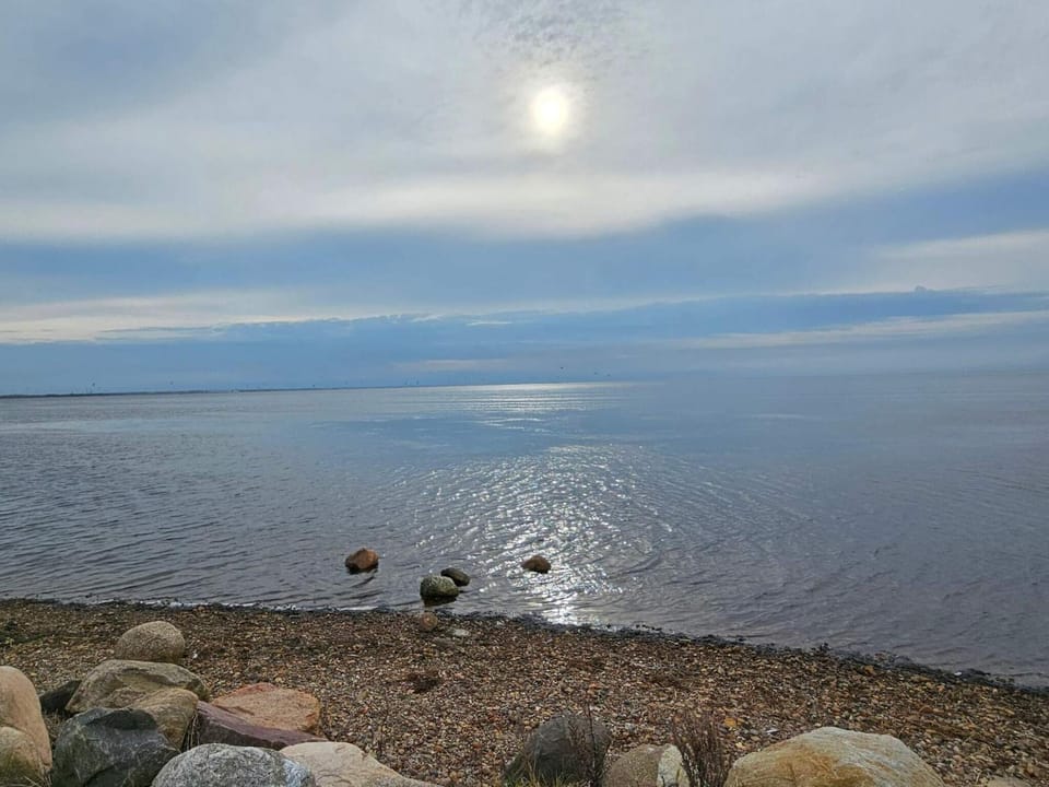 Lake view