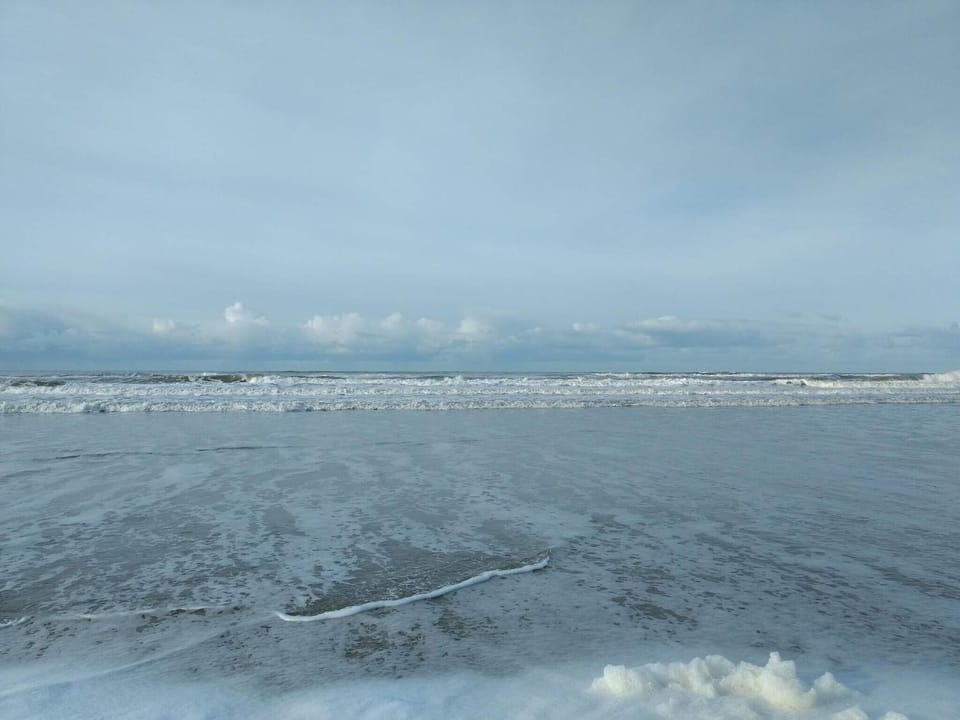 Lake view
