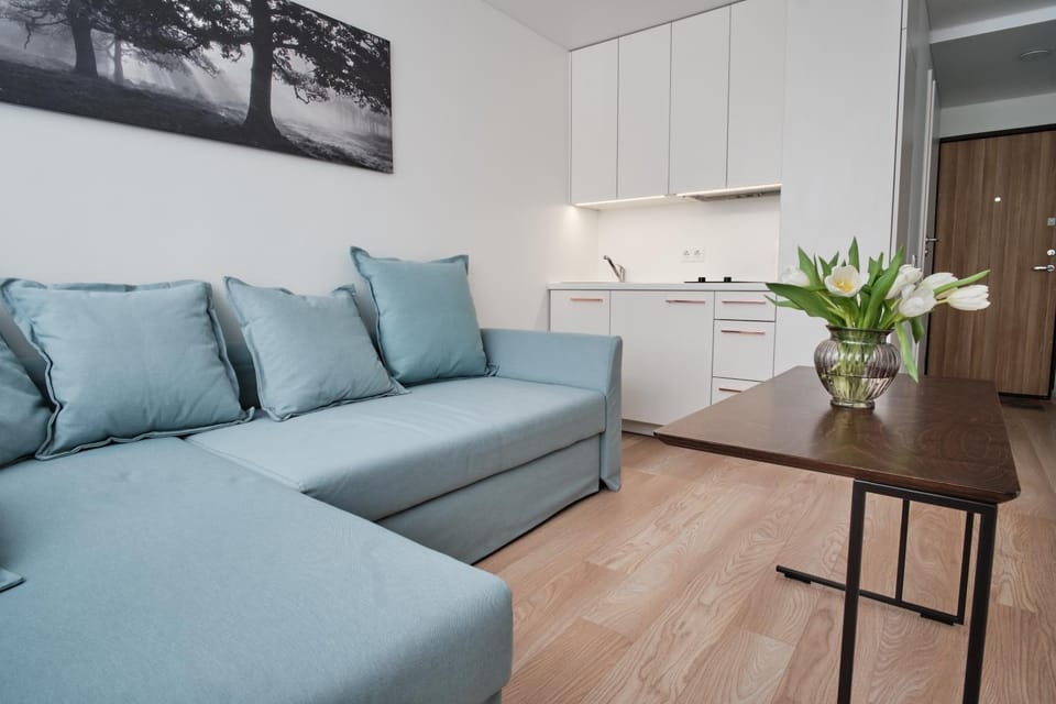Cosy studio near Akropolis and Švyturio arena Apartment in Klaipėda