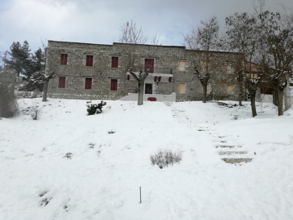 Property building, Winter