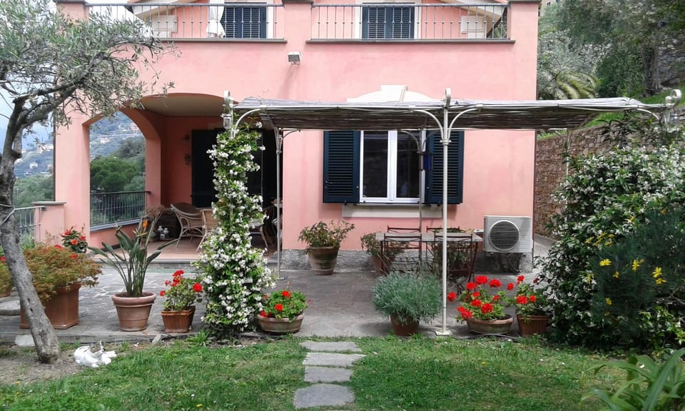 Patio, Facade/entrance