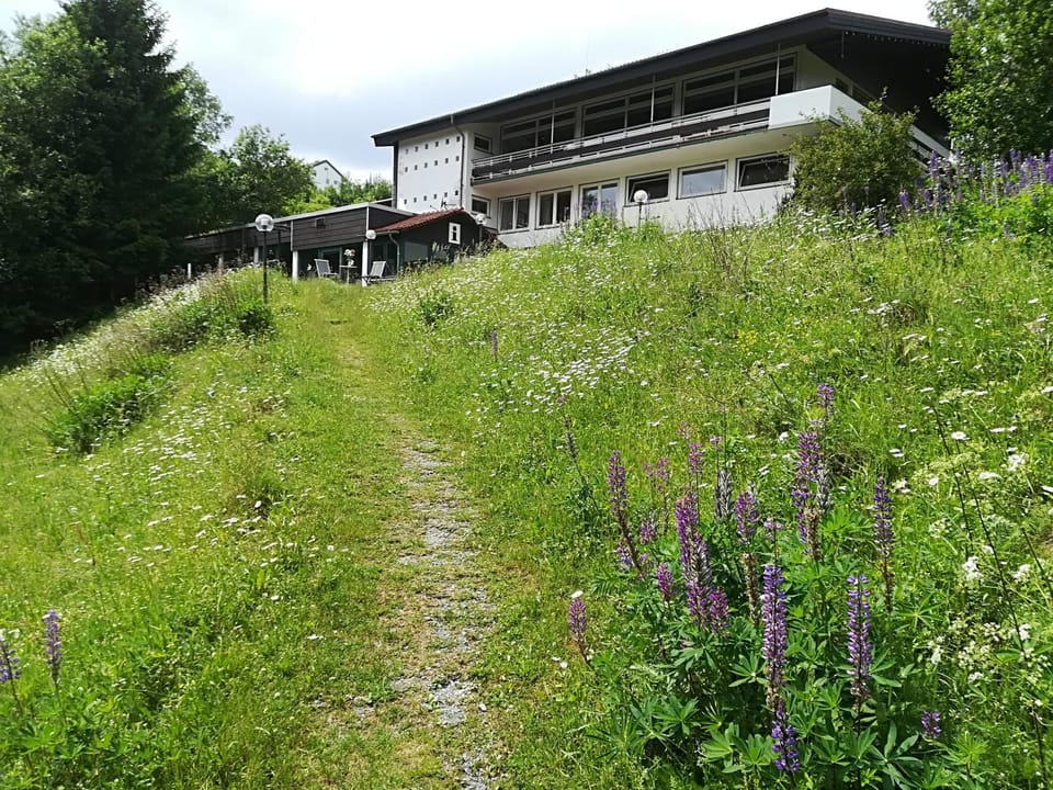 Property building, Garden