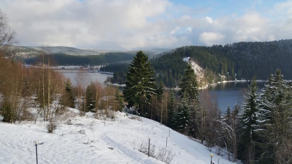 Lake view