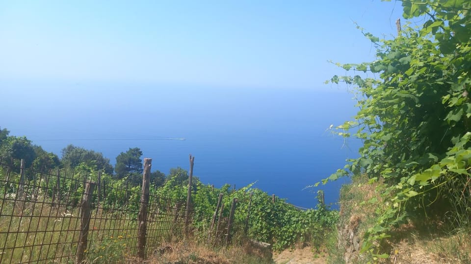 Casa Marcella Apartment in Province of Massa and Carrara