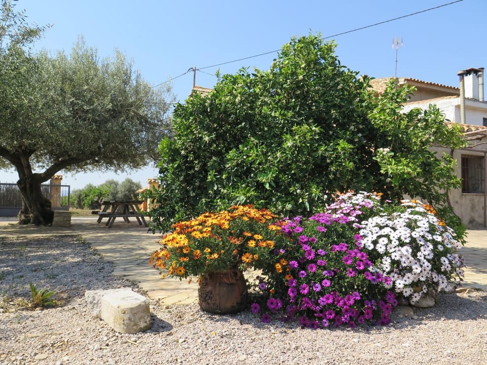 Patio, Garden