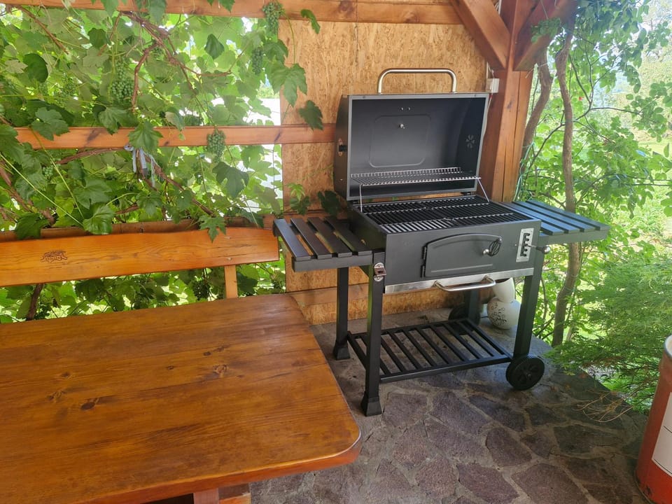 Apartma na Ravnicah Apartment in Slovenia