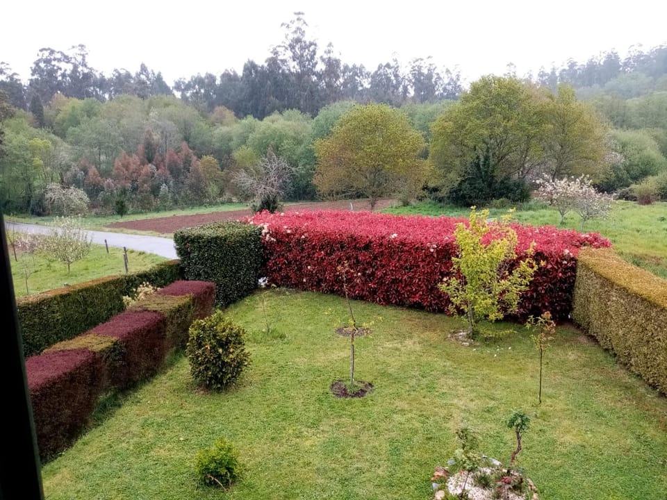 Natural landscape, Garden, Garden view