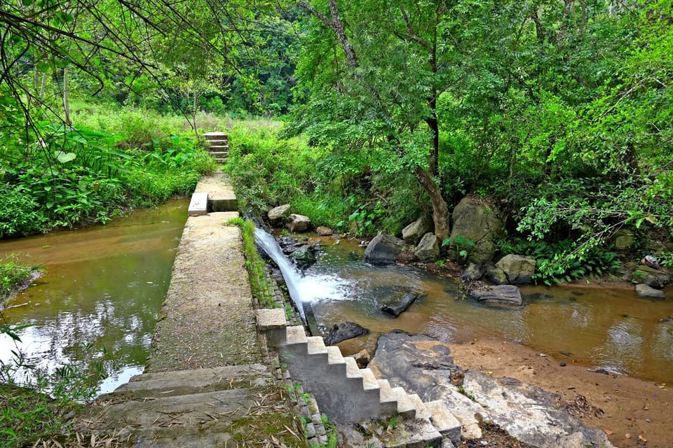 Natural landscape