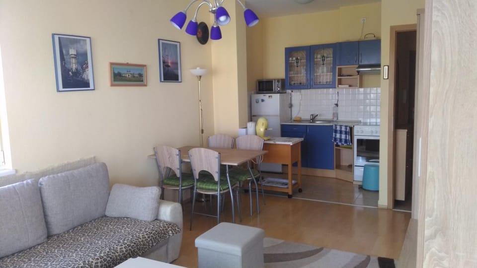 Kitchen or kitchenette, Living room, Seating area, Dining area