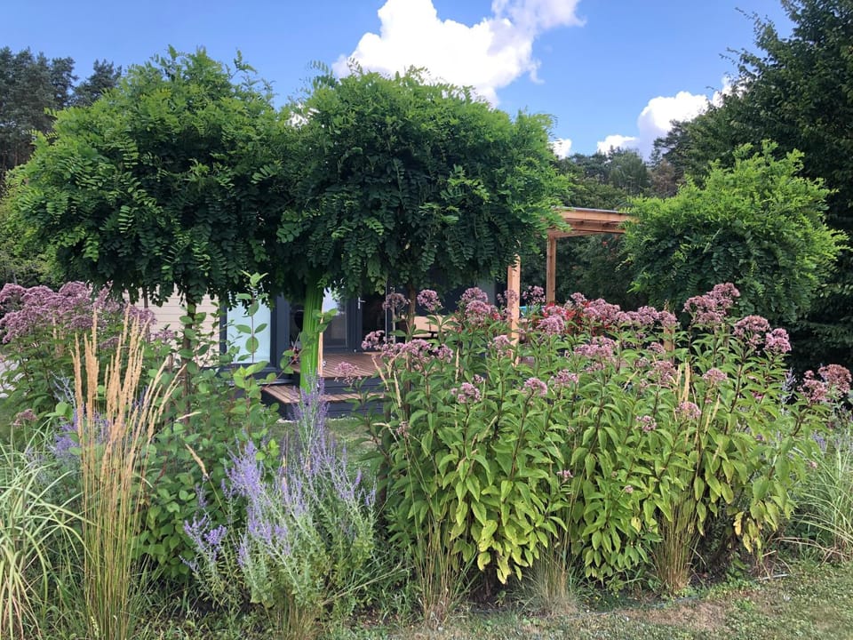 Natural landscape, Garden view