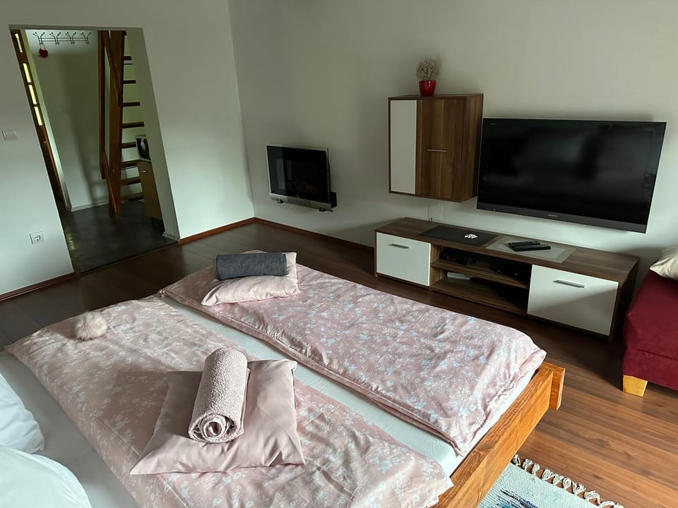 Apartma-BUOVC Apartment in Friuli-Venezia Giulia
