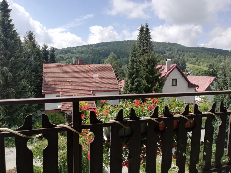 Deštné 371 - Buďte na horách jako doma Apartment in Lower Silesian Voivodeship