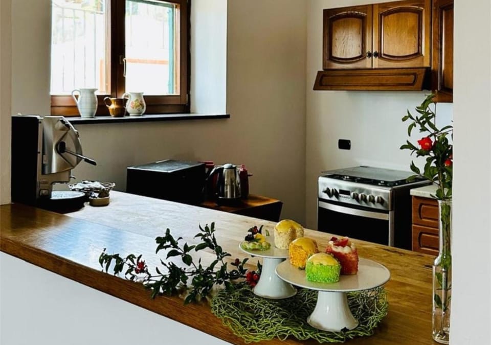 Kitchen or kitchenette, Food and drinks, Food, minibar, oven, pet friendly, stove, toaster
