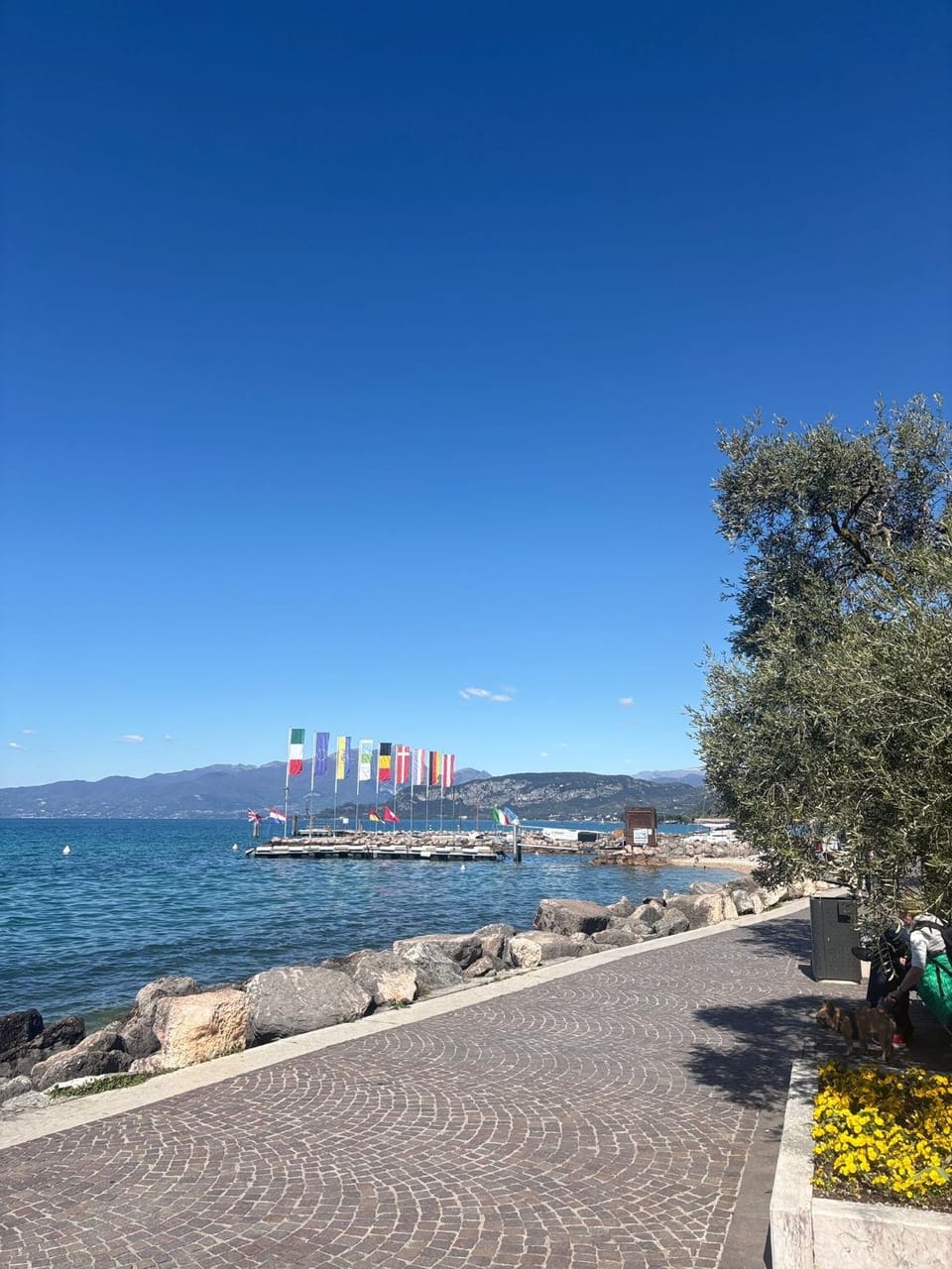 Appartamento DAISY Apartment in Bardolino