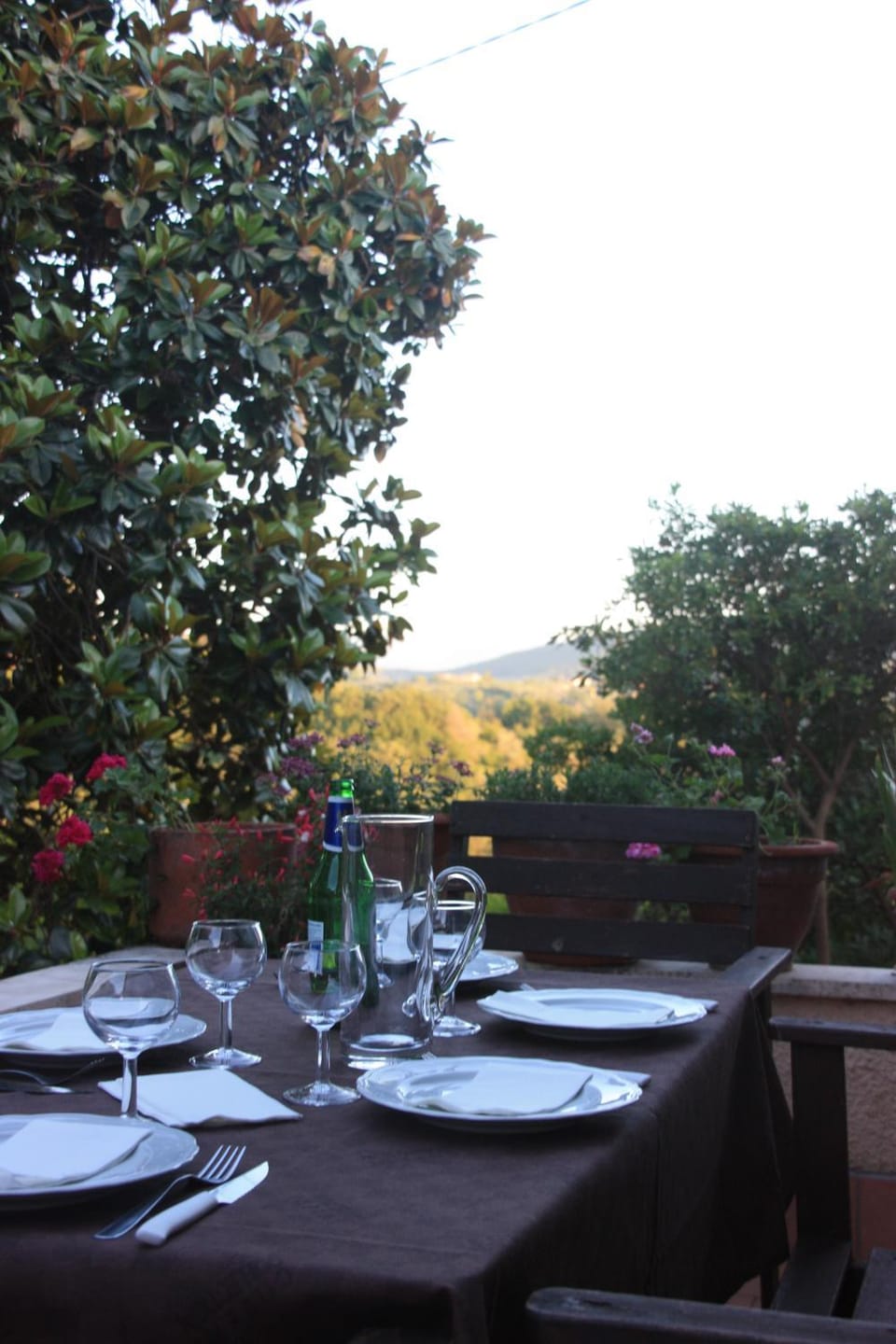 Summer, Garden, Balcony/Terrace, On site, Sunset