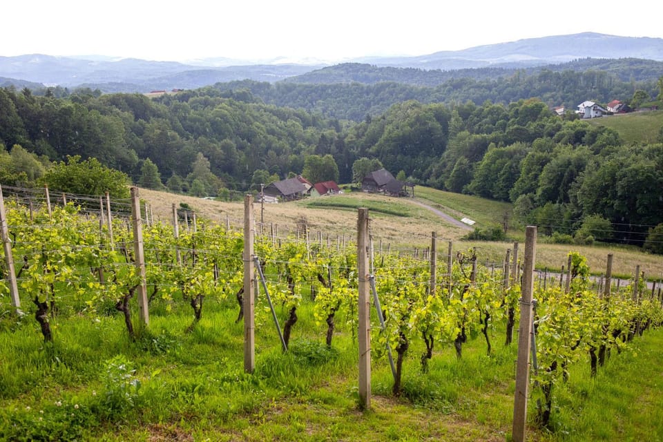 Neighbourhood, Natural landscape, Bird's eye view, Hiking, Mountain view