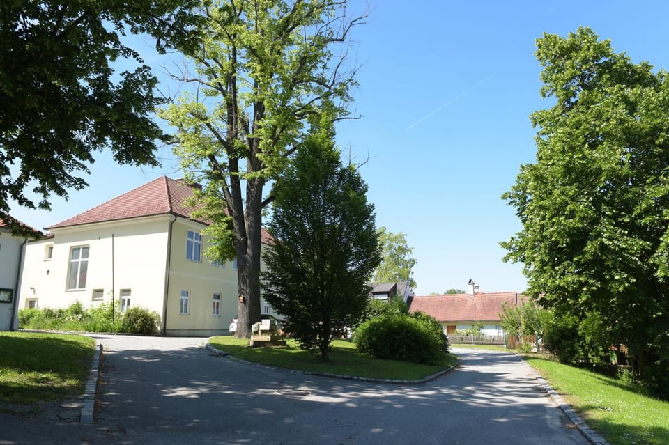 Property building, Day, Neighbourhood, Natural landscape, Street view