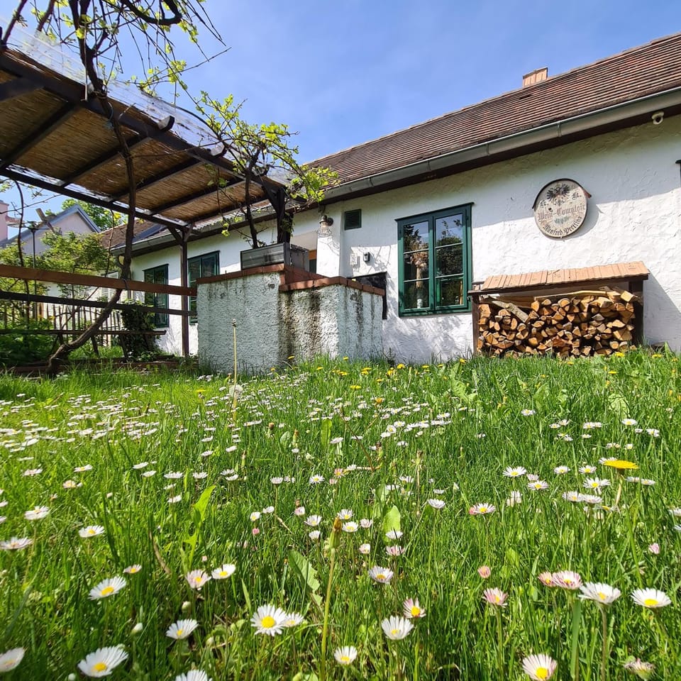Property building, Day, Garden, Garden view