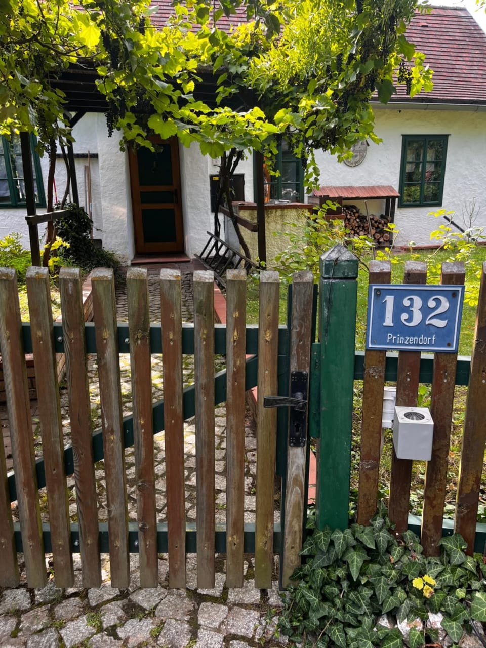 Property building, Garden view