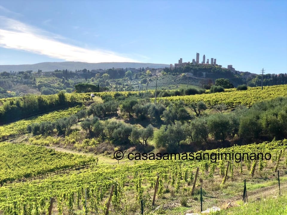 Charming House - Parking included Apartment in Tuscany