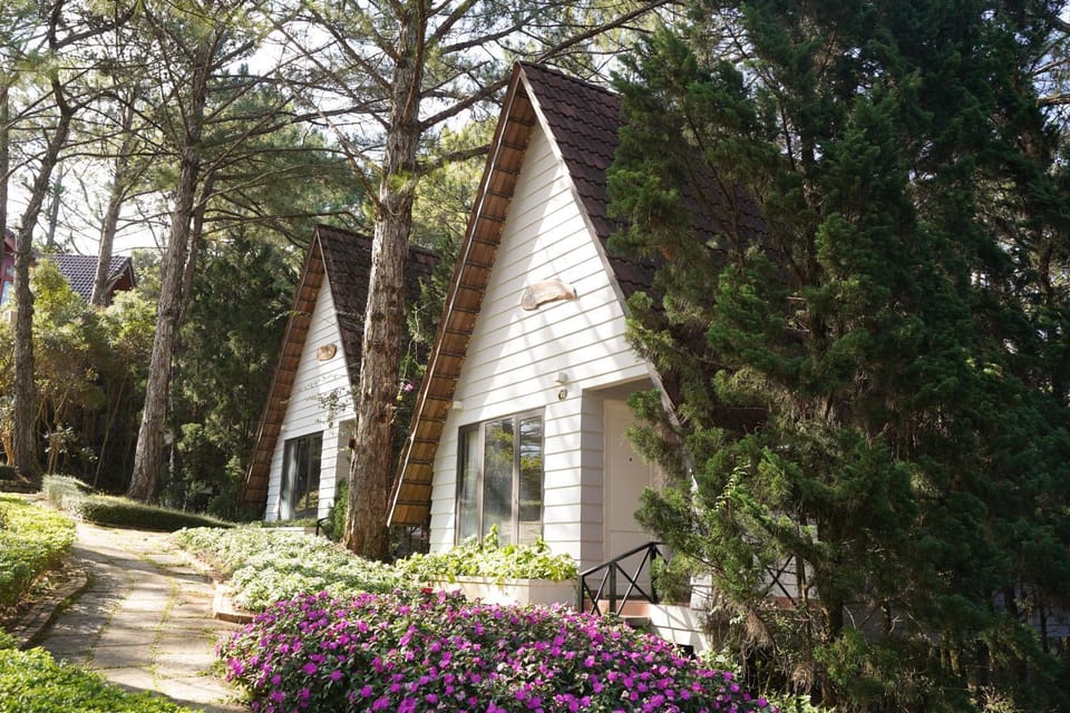 Property building, Garden, Garden view