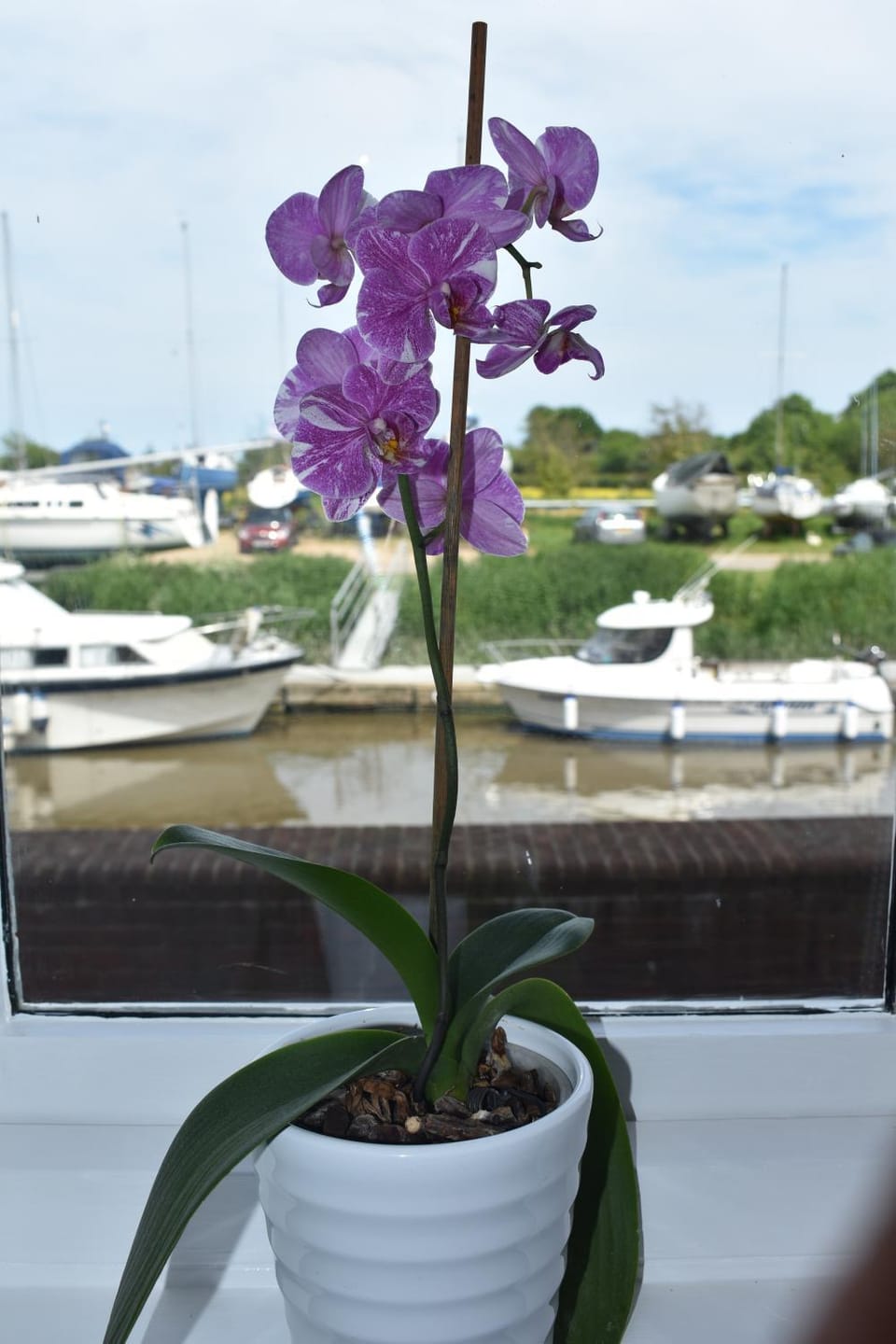 Boatyard View Apartment in Sandwich