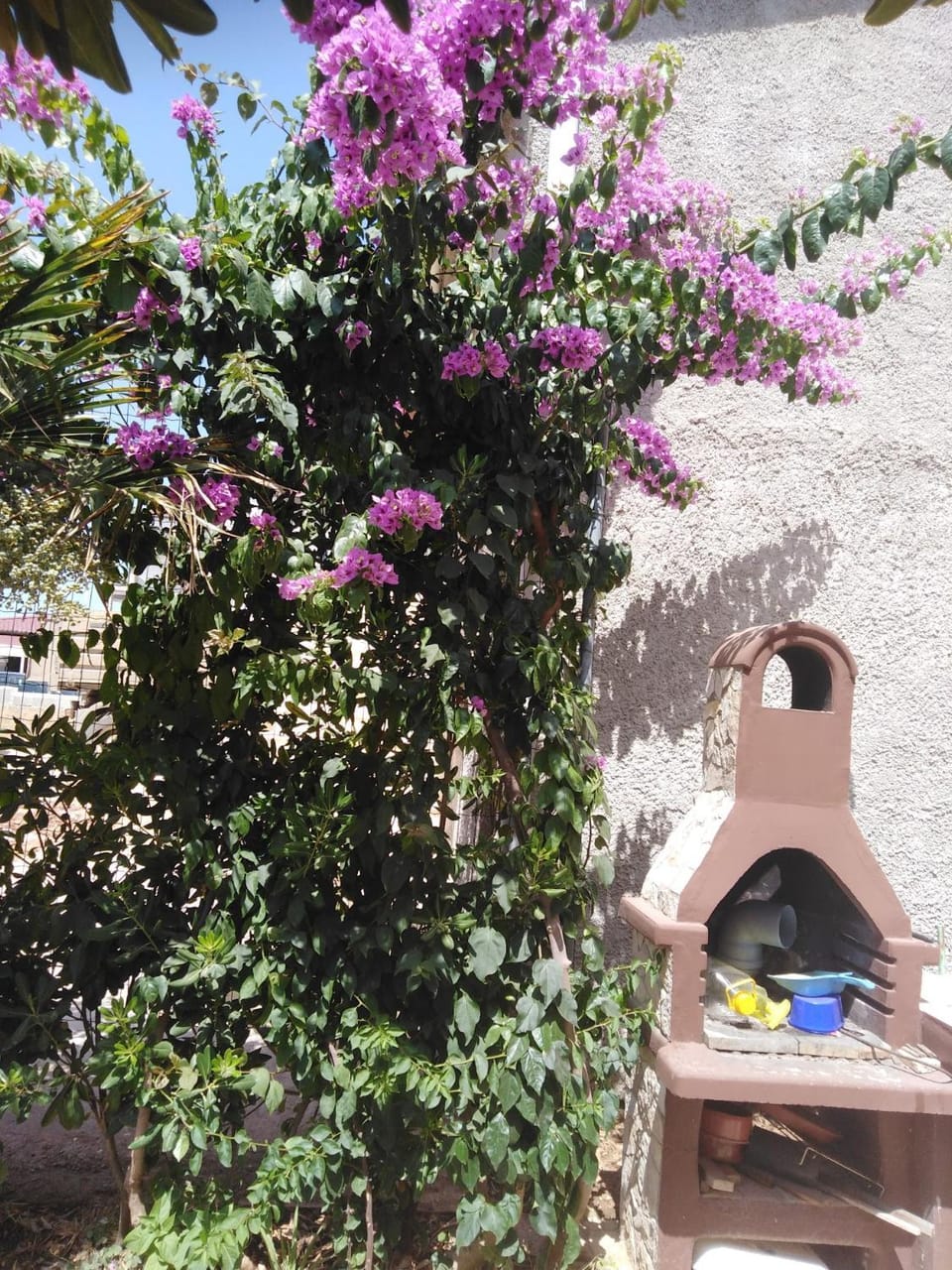 Apartman Ivica Apartment in Zadar County