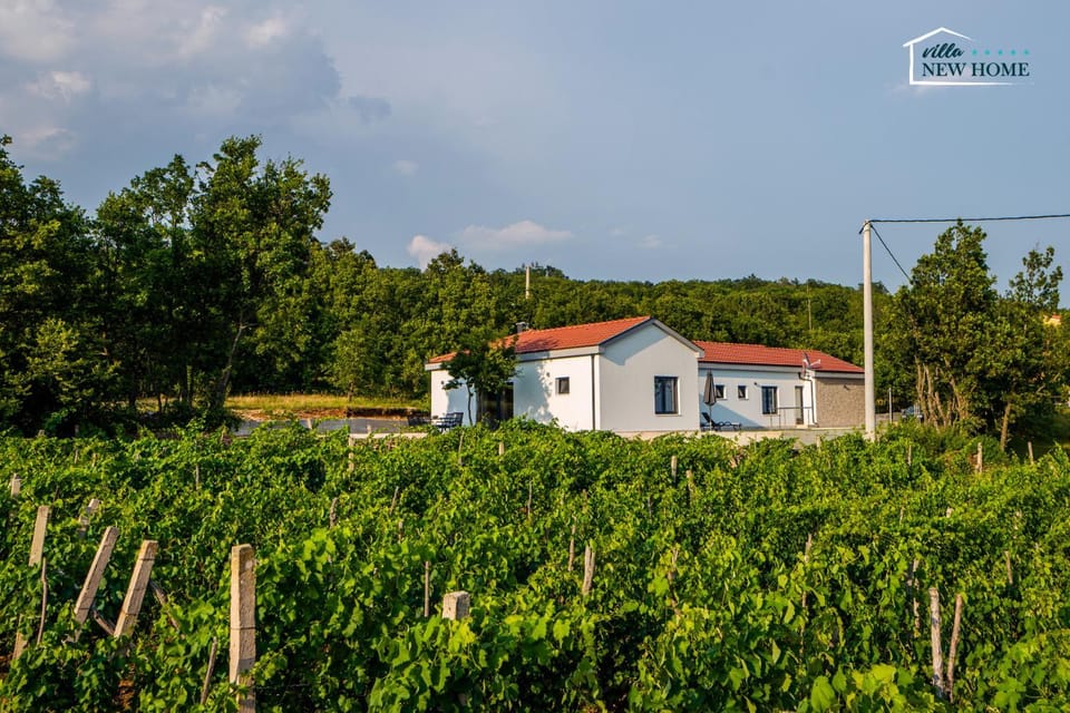 Villa New Home, villa with pool in Imotski near Makarska Villa in Split-Dalmatia County