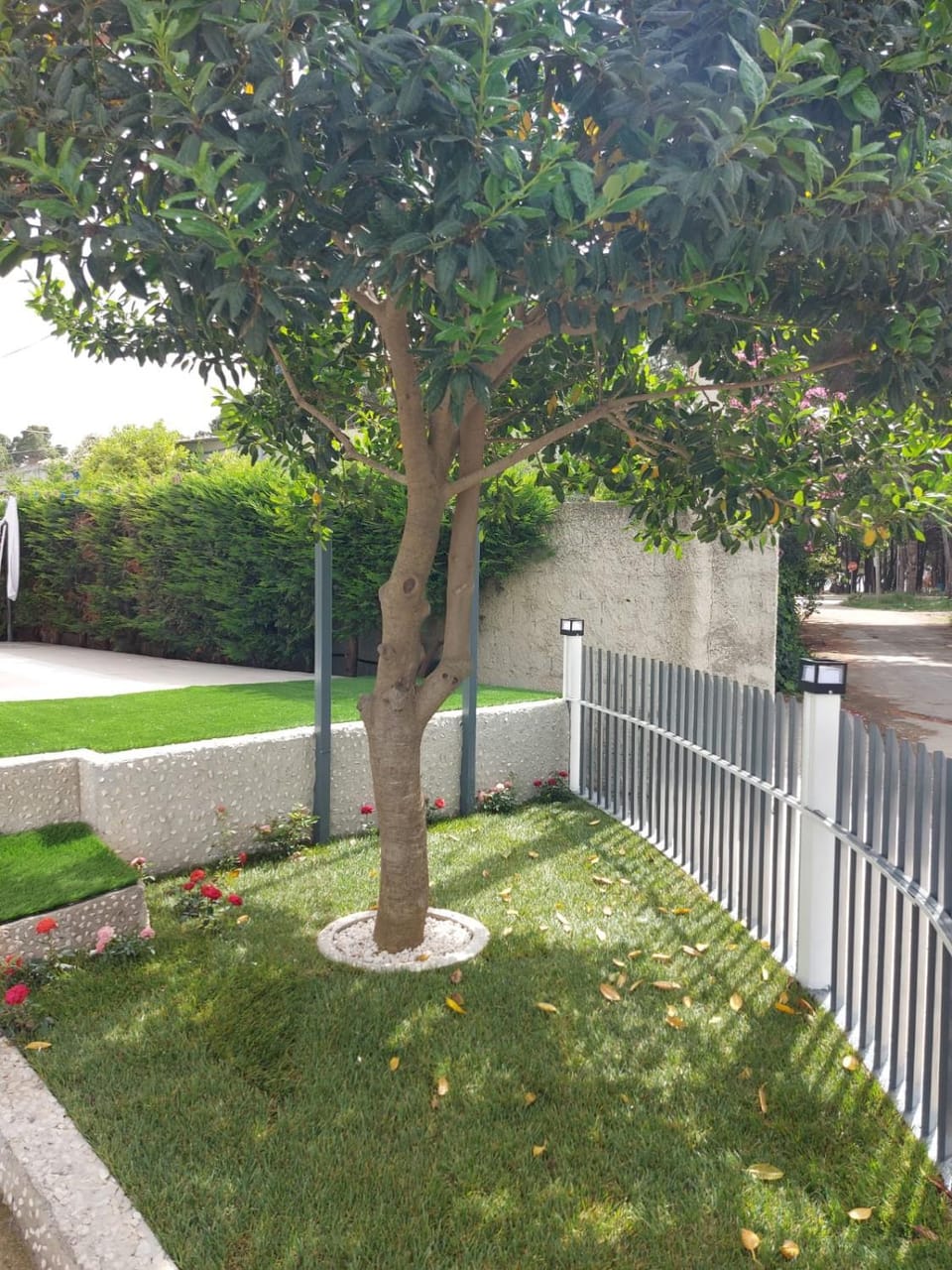 Spring, Garden view