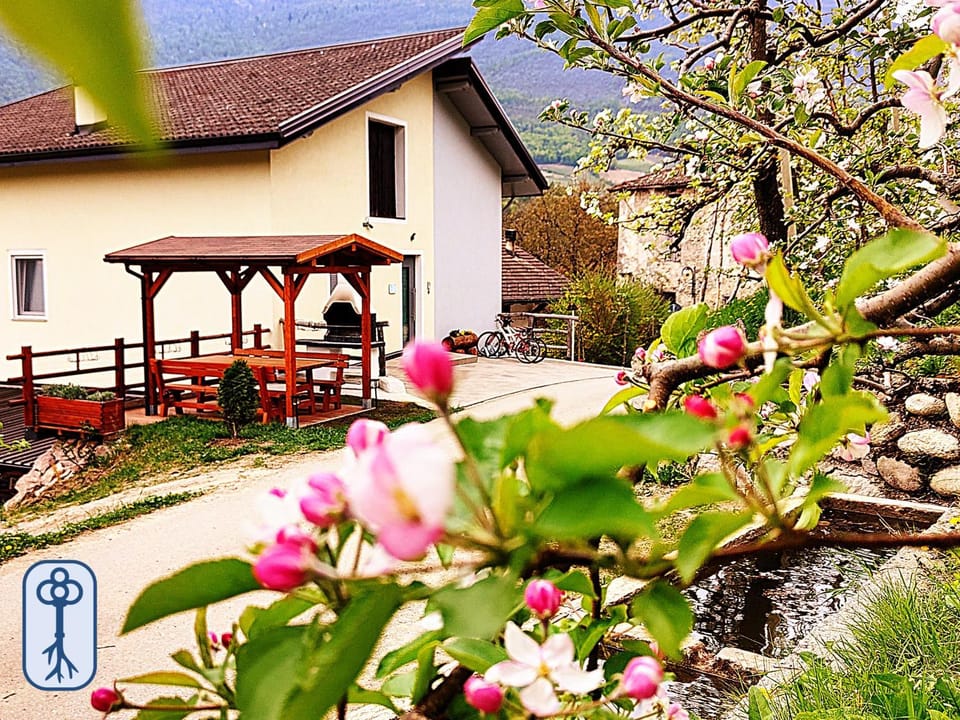 Property building, Spring, Day, Natural landscape, Garden, Garden view
