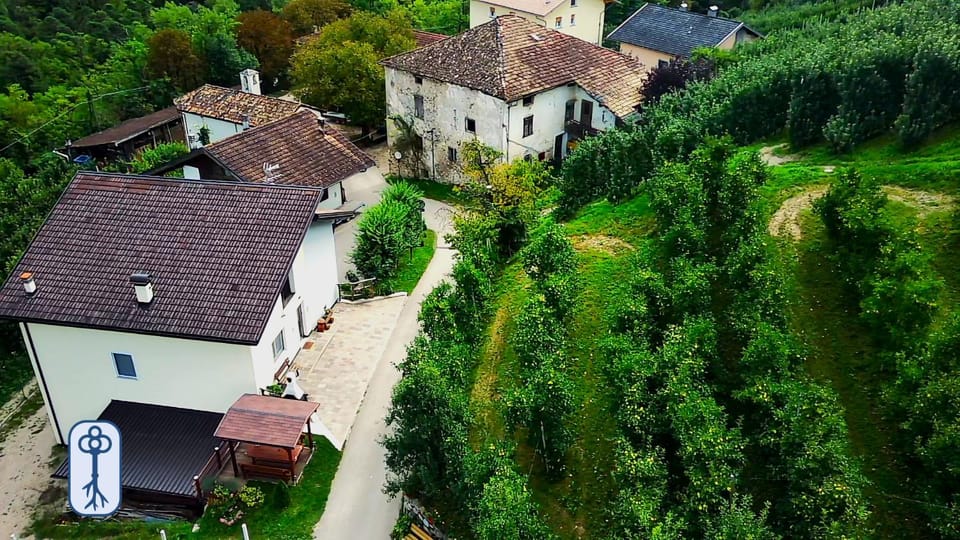 Property building, Neighbourhood, Natural landscape, Garden view