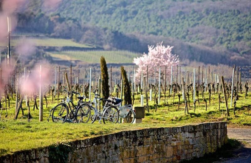 Property building, View (from property/room)