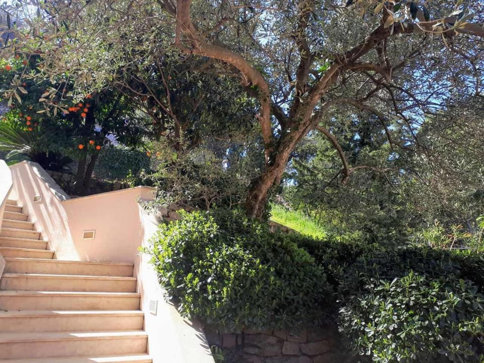 Garden, On site, Garden view