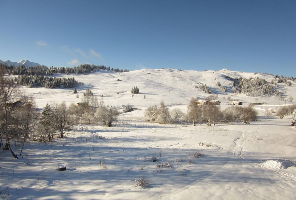 Appt 4/5 pers. Les Saisies front de neige Apartment in Haute-Savoie