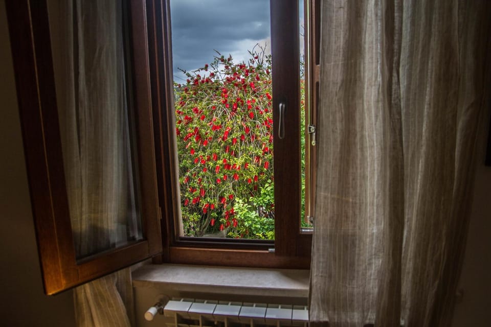 Garden view, Inner courtyard view