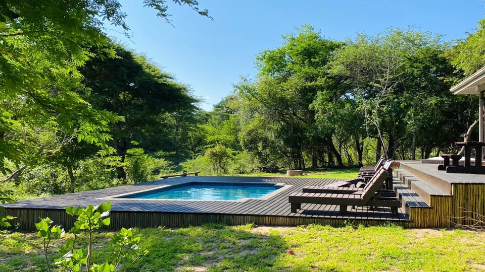 Garden, Swimming pool